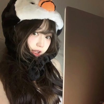 侠盗正传