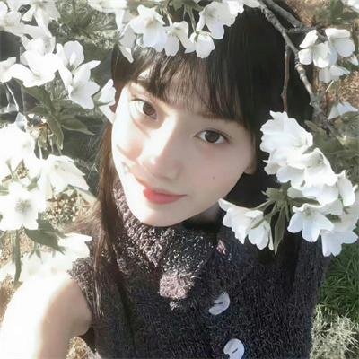 蓝天花朵