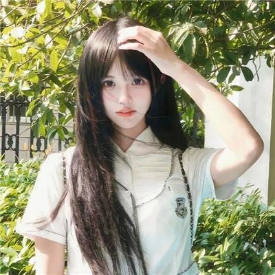 朵儿的战争
